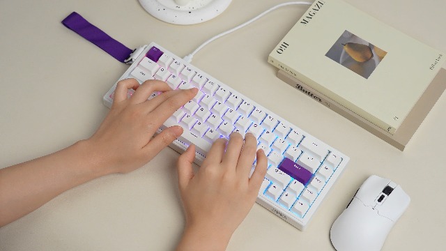 Amazon.com: EPOMAKER HE68 Hall Effect Keyboard,8000hz Polling,0.01